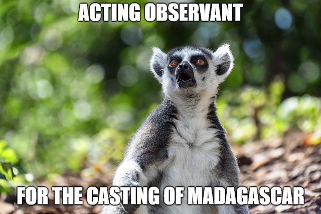 madagascar.png