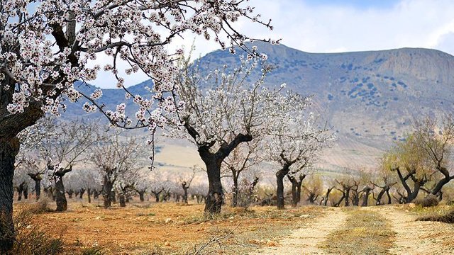 kosta-nieuws-andalusie-watervoorziening-1-502758462.jpg