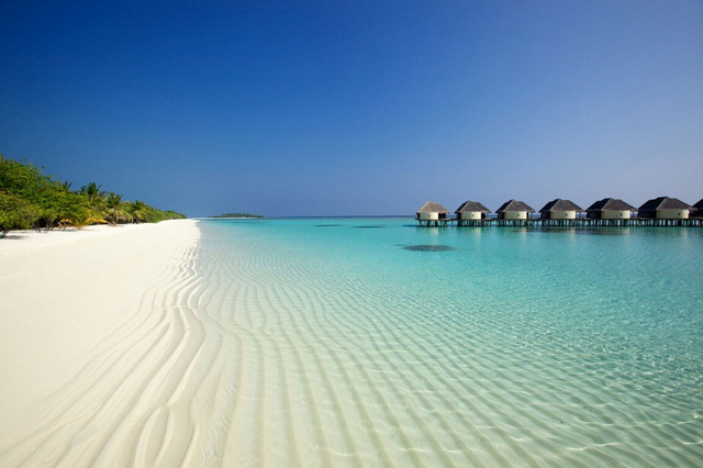 maldives.png