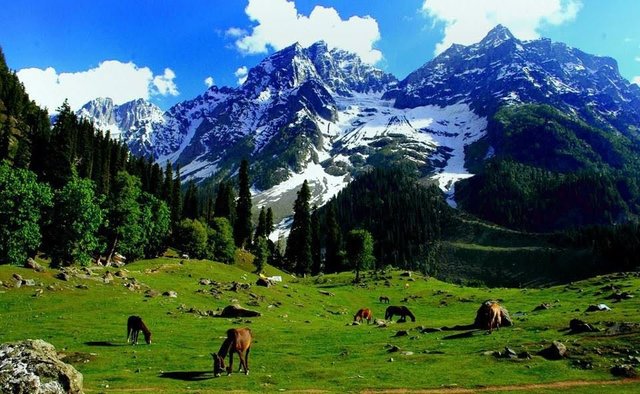Beauty-of-Kashmir-1.jpg