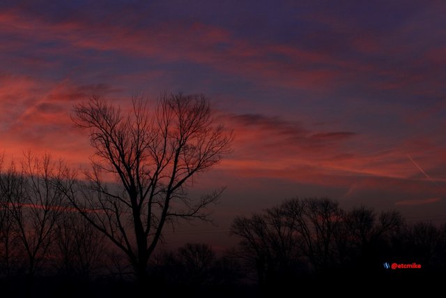 pink sunrise dawn SR15-19.JPG
