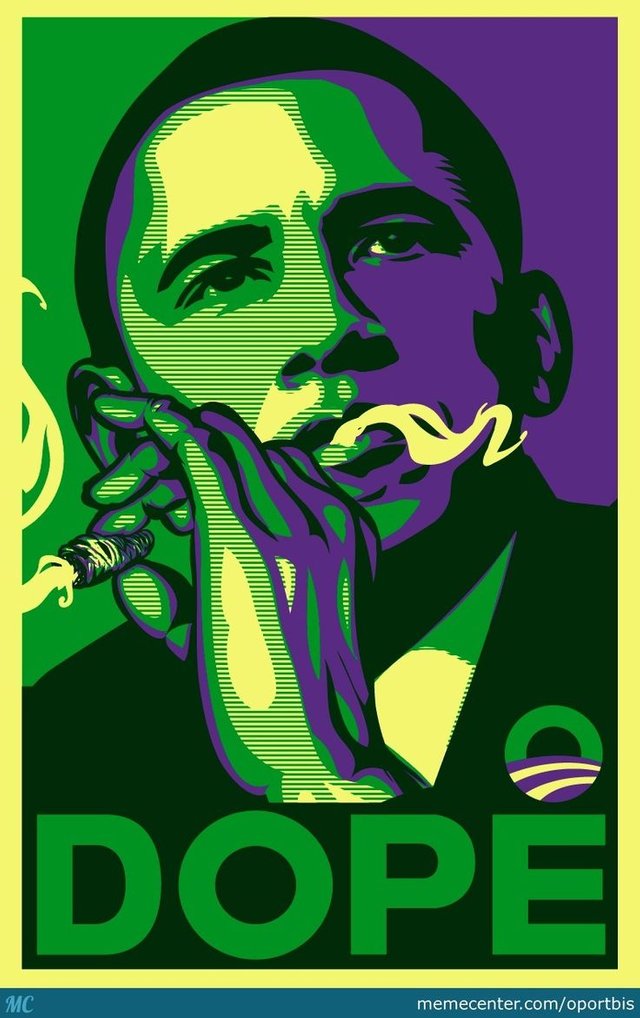 428d233204b79bd2f5577773f2c24271--weed-art-smoke-weed.jpg