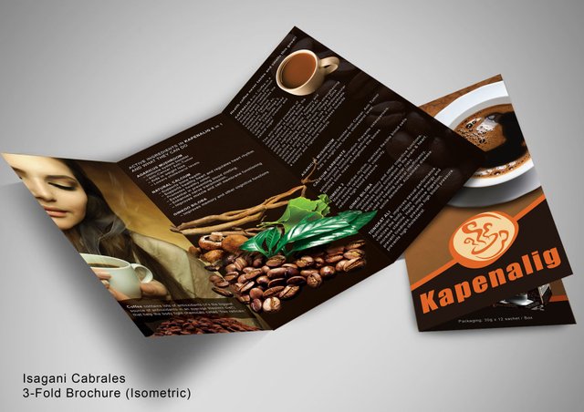 3FoldBrochure Isometric.jpg