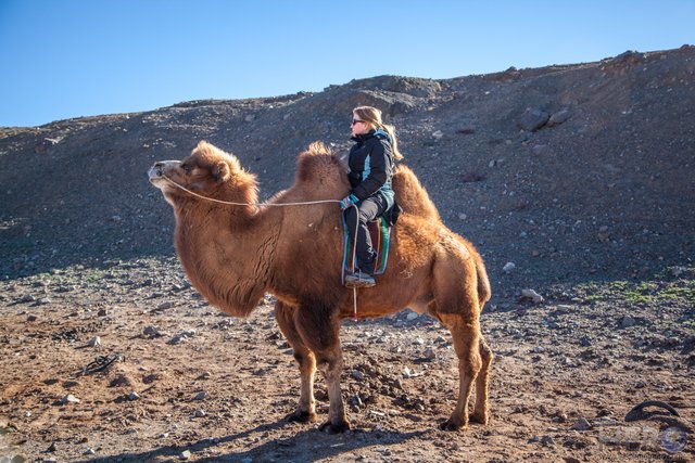 Gobi_desert-5046.jpg