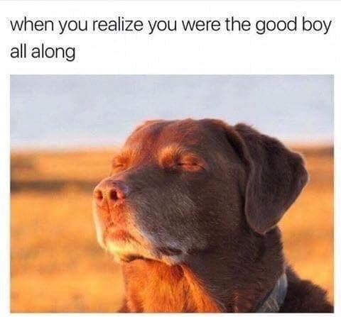 good boye all along.jpg