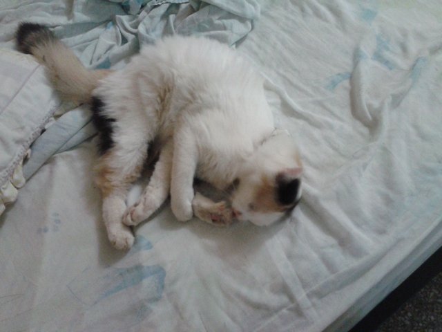 2013-05-16 20.58.05.jpg