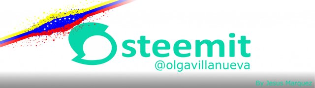 banner olguita.jpg