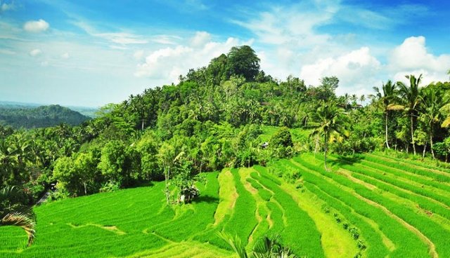 pemandangan-indah-di-bukit-jambul-800-2018-02-01-030639_0.jpg