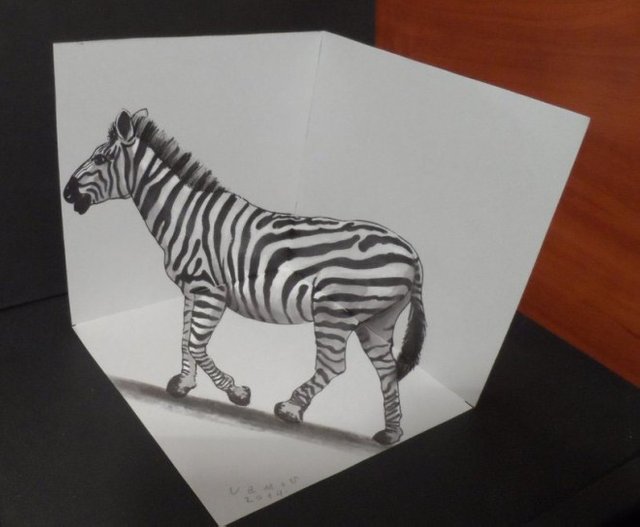 Zebra-pencil-drawings.jpg