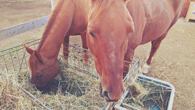 Lomogram_2017-10-08_09-51-53-AM.jpg