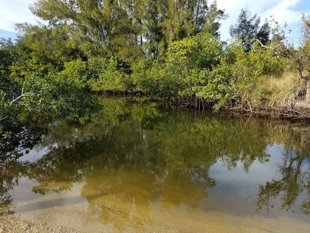 20171224_153459.jpg