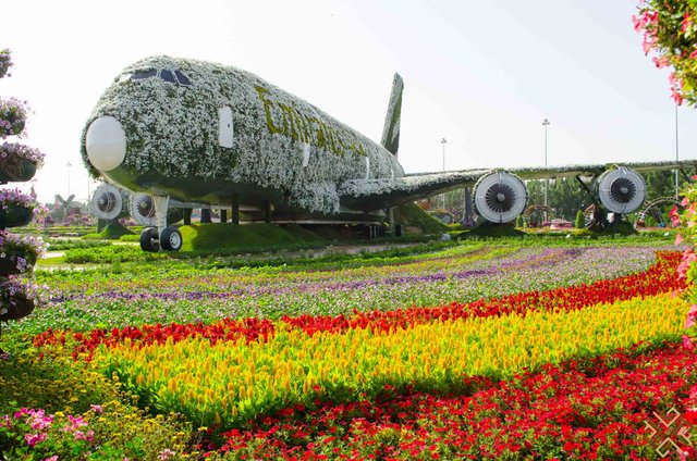 Dubai-Miracle-Garden-14.jpg