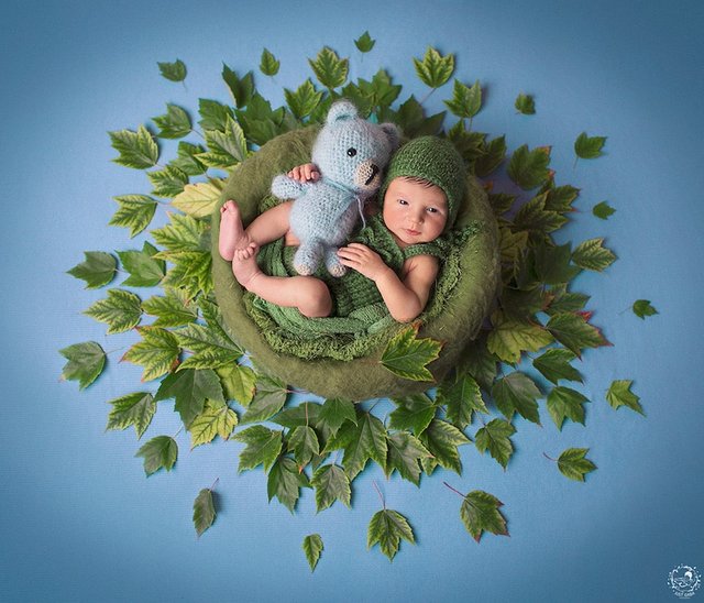 newborn-photos-nature-mandalas-2.jpg