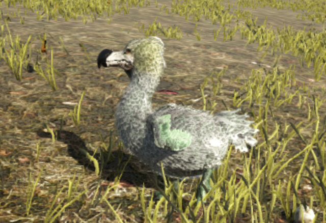 dodo.png