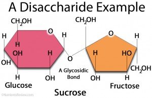 disaccharide-example-300x194.jpg