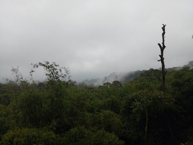 IMG20171225153809.jpg