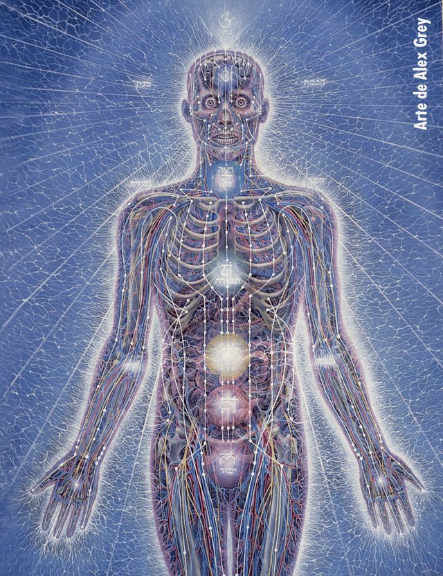EnergyAnatomy_AlexGrey.jpg