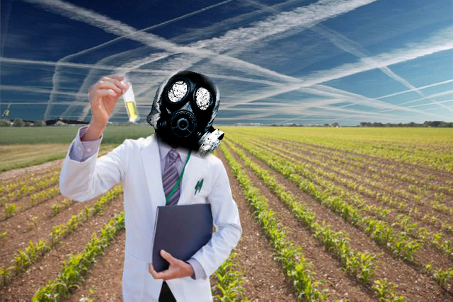 chemiie-1.png