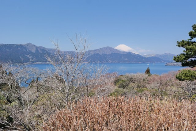 Photo Apr 03, Mount Fuji from Cedar Park 2.jpg