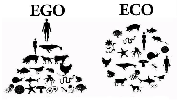 ego eco.png