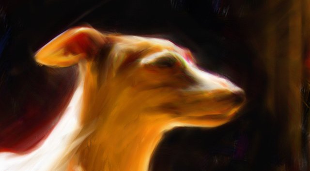 jan18doglightdonecloseup.jpg