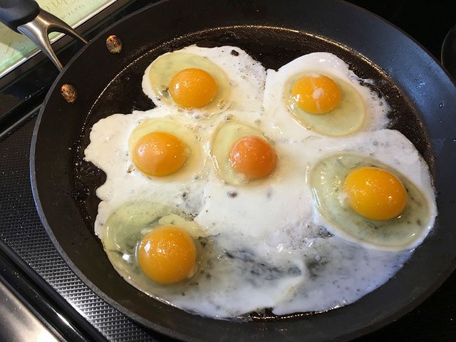 Fried eggs.JPG