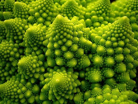 fractal3 broccoli.jpg