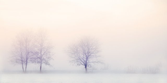 winter-landscape-2571788_1920.jpg