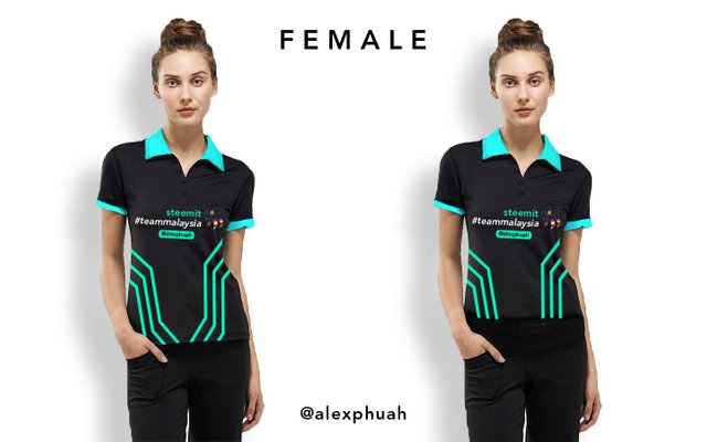 Steemit TeamMalaysi_T-Shirt Design Mockup_Women.jpg