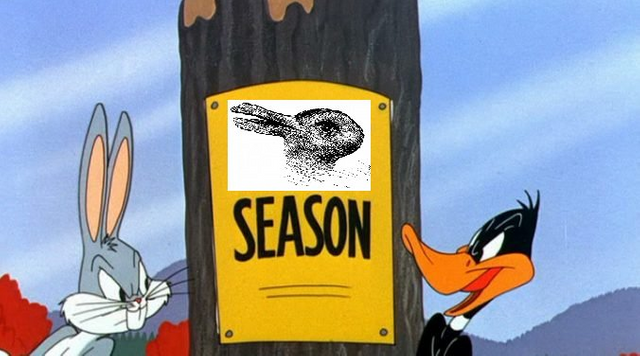 DuckRabbit.png