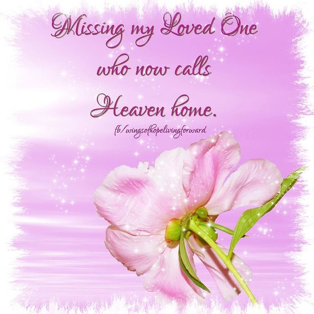 c59990d8a2f9e0d1f2026d9d2e3831f9--tears-in-heaven-dad-in-heaven.jpg