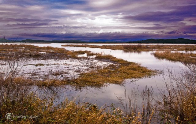 circular-wetlands.jpg