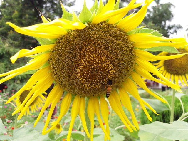 20170530_162840.jpg