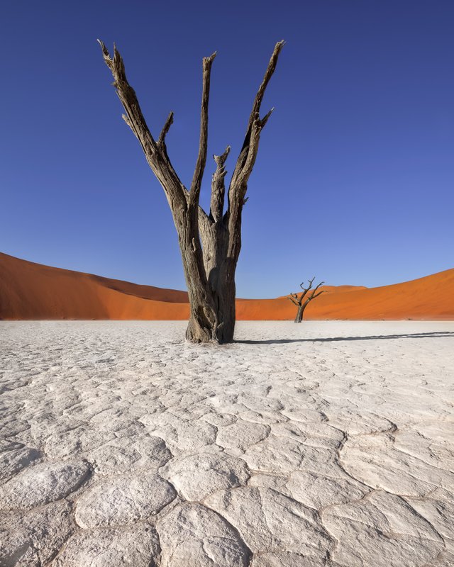 Namibia-4.jpg