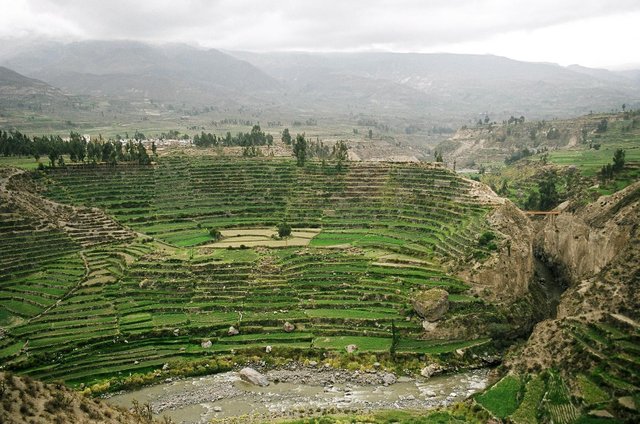 rio-colca-andenes.jpg