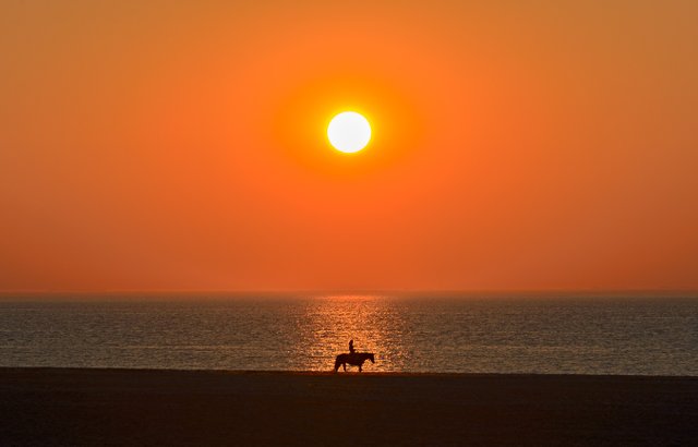 sunset on the beach with rider on a horse