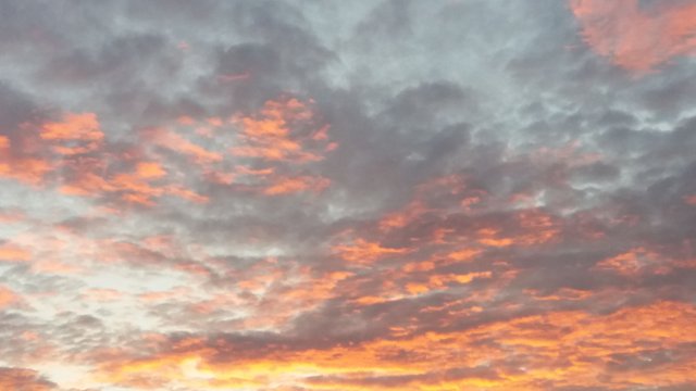 20160623_034528.jpg