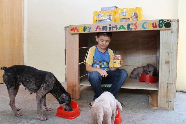 happy-animals-club-pet-shelter-kid-1.jpg