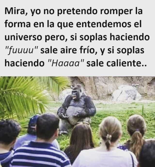 mira-yo-no-pretendo-romper-la-forma-en-la-que-entendemos-el-universo-pero-si-soplas-haciendo-fuuuu-sale-aire-frio-y-si-soplas-haciendo-haaaa-sale-caliente-VKSLv.jpg