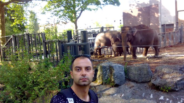 IMG_2017-05-28 17-37-39.jpg