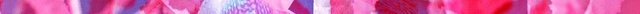 mirroredflipped-pink-blue-red-dols (1).jpg