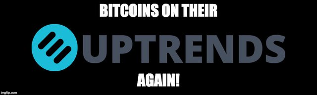 uptrend coins.jpg