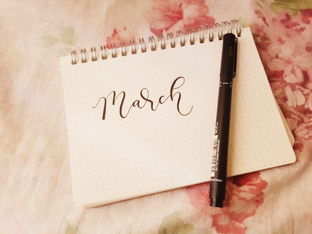 2018-03-23 10.24.16 1.jpg