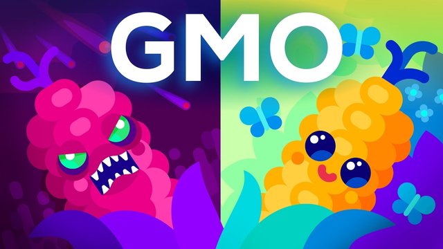 GMO.jpg