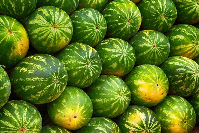 watermelon 2.jpg