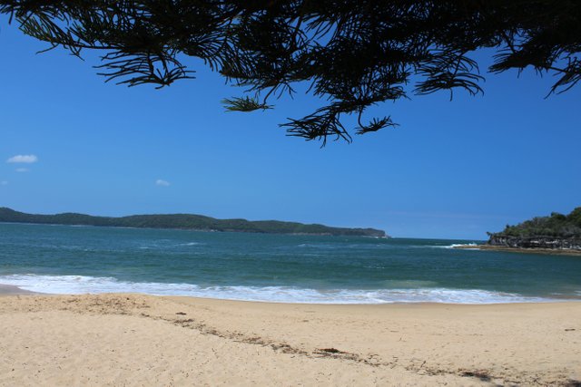 Pearl Beach A Sea Side Village Of The Central Coast Nsw - 