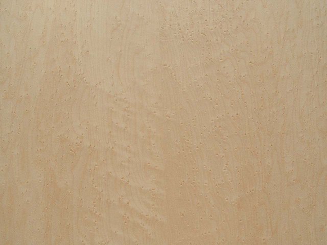 BIRDS EYE MAPLE.jpg