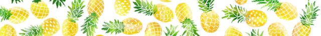 Piña Banner.png