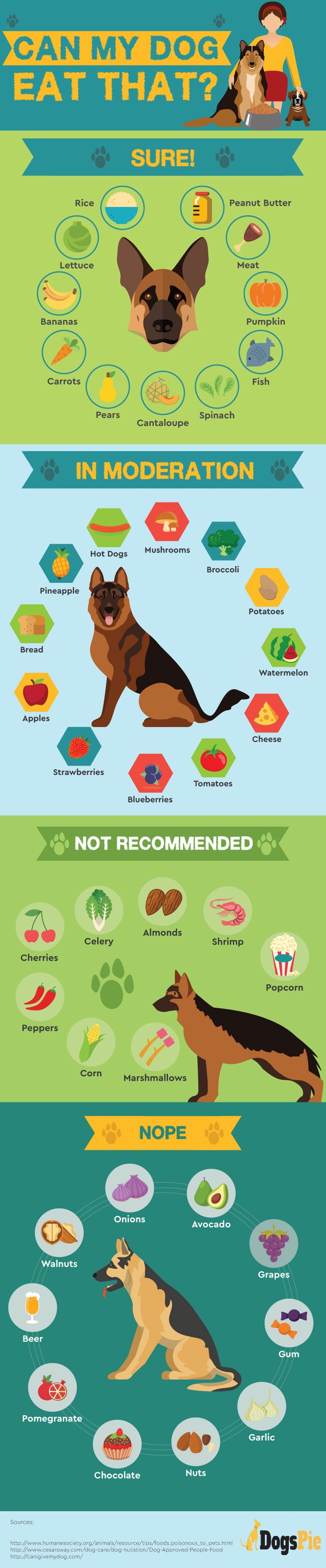 Human food for dogs infographic.jpg