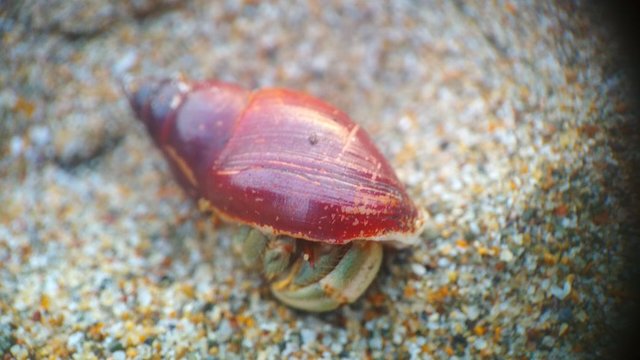 IMG-20180115-WA0025.jpg